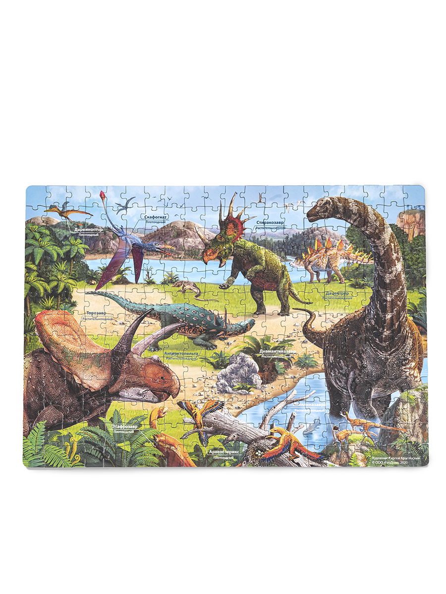 Пазл ГЕОДОМ классический - фото 4