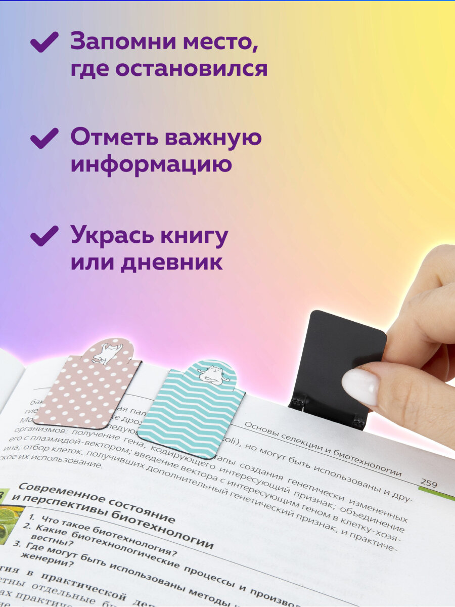 Магнитная закладка Brauberg 6 шт. - фото 3