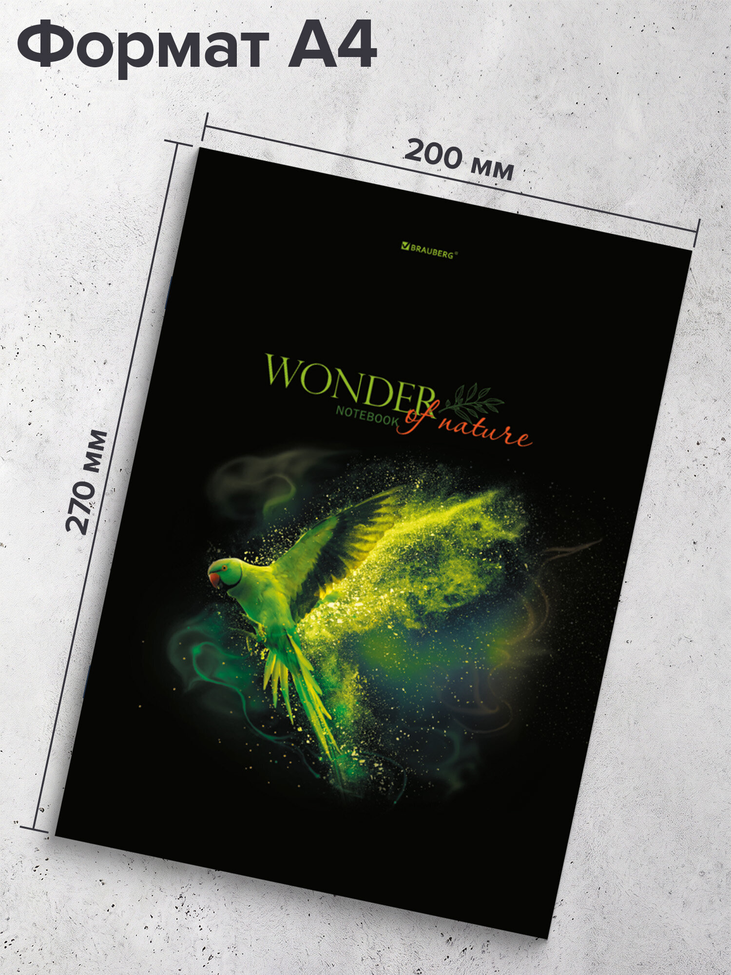 Общая тетрадь Brauberg клетка 96 лист. 3 шт. - фото 4