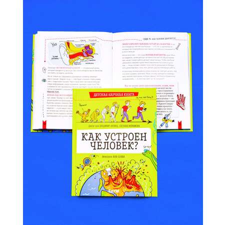 Книга Clever Издательство Детская научная книга. Как устроен человек?