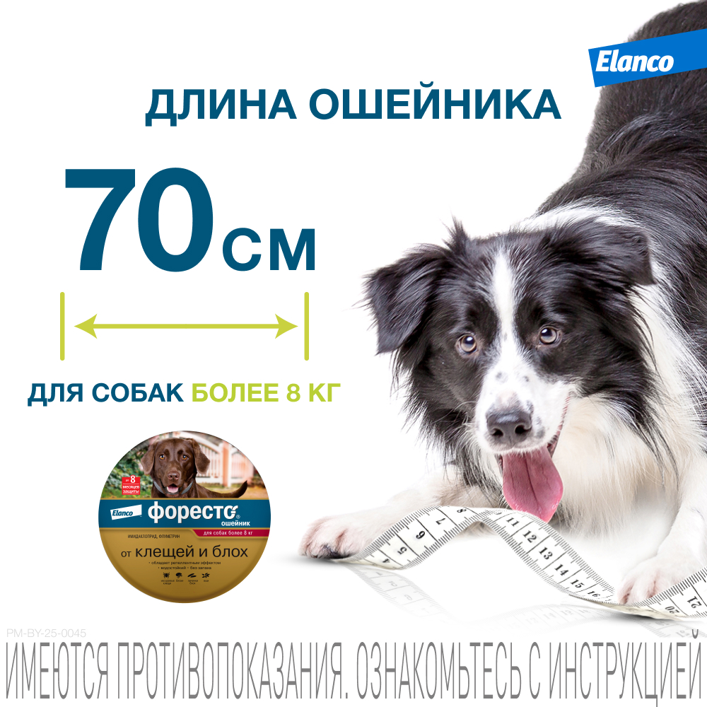 Ошейник для собак Elanco Foresto более 8кг от блох и клещей защита 8месяцев 70см 65494 - фото 11