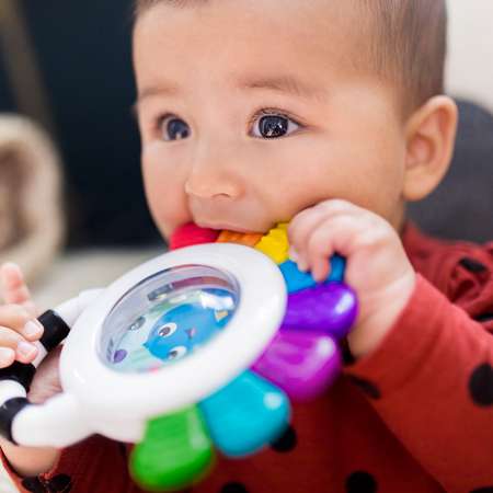 Прорезыватель Baby Einstein Осьминожка