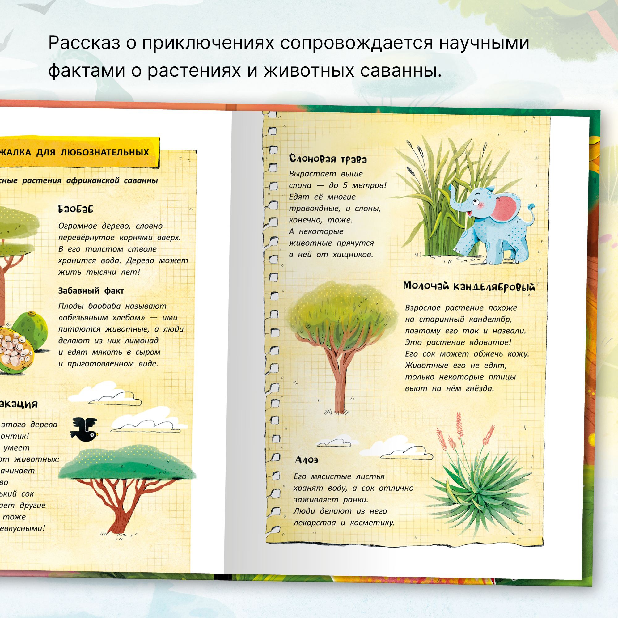 Книга МОЗАИКА kids Записки блогера из саванны Книжный клуб - фото 4