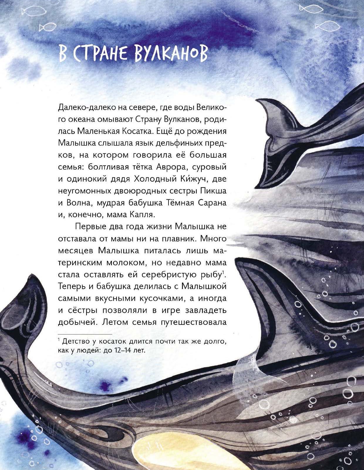 Книга Абраказябра Маленькая косатка - фото 4