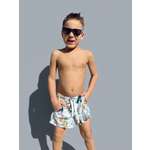 Шорты Capitania