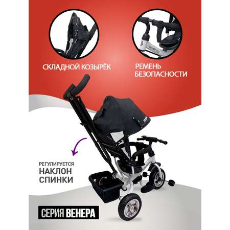 Трехколесный велосипед Velobibi