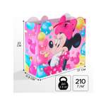 Пакет ламинированный Disney Минни Маус 23х27х115 см