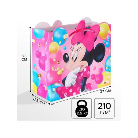 Пакет ламинированный Disney Минни Маус 23х27х115 см