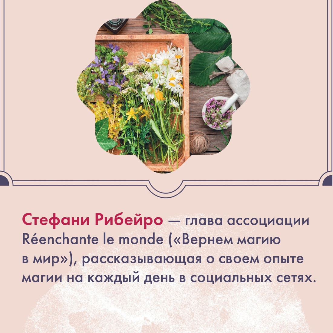 Книга КОЛИБРИ Растения любви: подарок внутри. Сборный комплект в т.у. с наклейками - фото 10