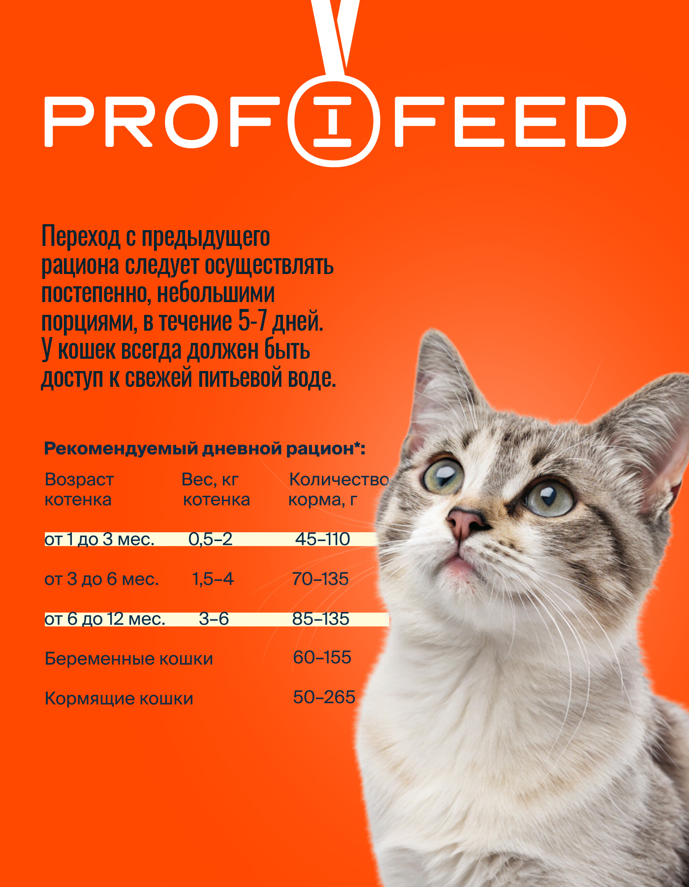 Корм сухой Profifeed Для котят 10кг - фото 4