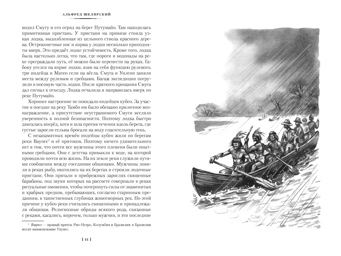 Книга АЗБУКА Томек у истоков Амазонки и другие удивительные приключения - фото 18