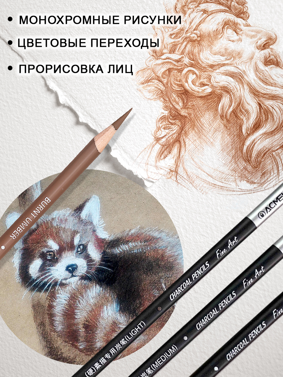 Уголь ACMELIAE 6 шт. - фото 4