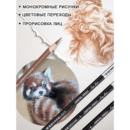 Уголь ACMELIAE 6 шт.