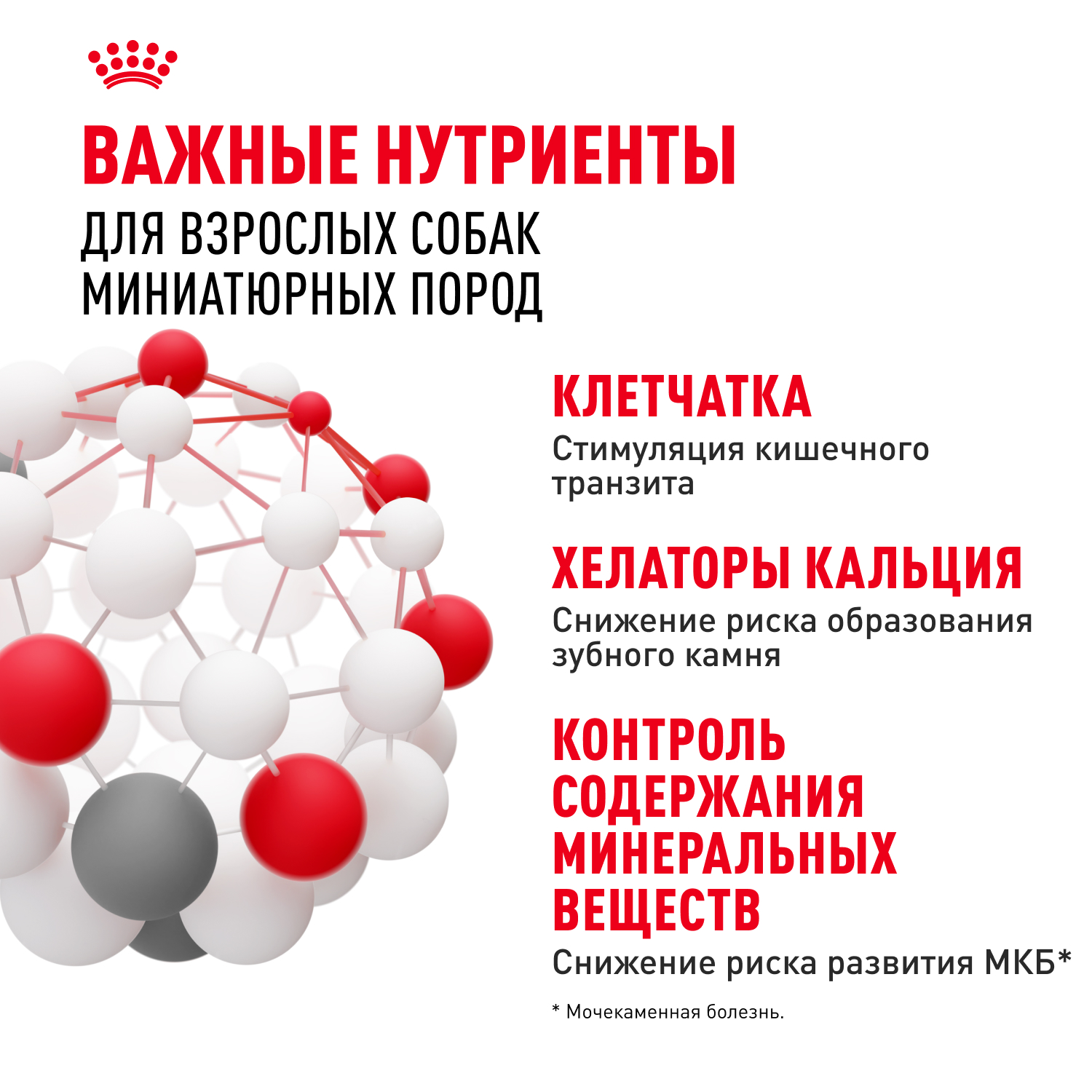 Корм для собак ROYAL CANIN миниатюрных пород 1.5кг - фото 5