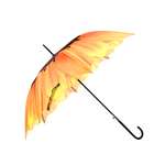 Зонт ЭВРИКА