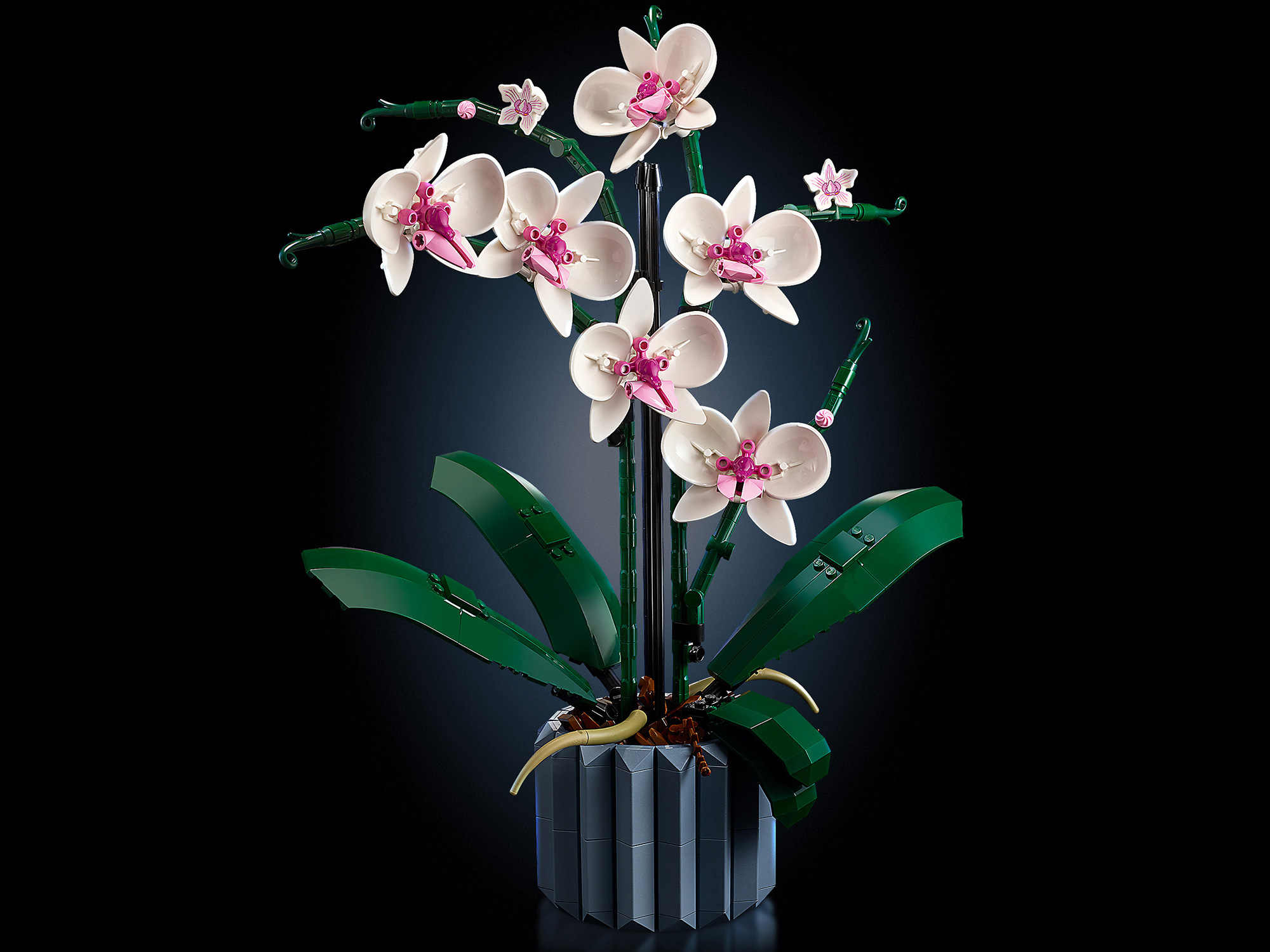Конструктор LEGO Botanicals Орхидея в горшке 608 дет. - фото 8