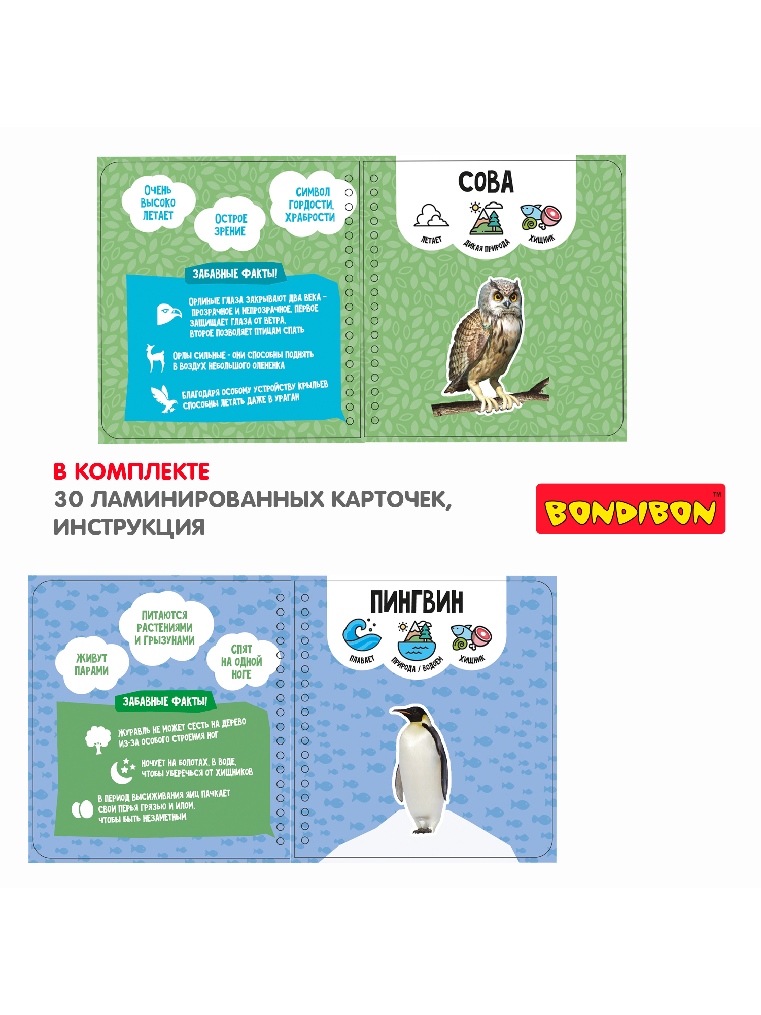 Настольная игра Bondibon в дорогу Изучаем животных AR - фото 4