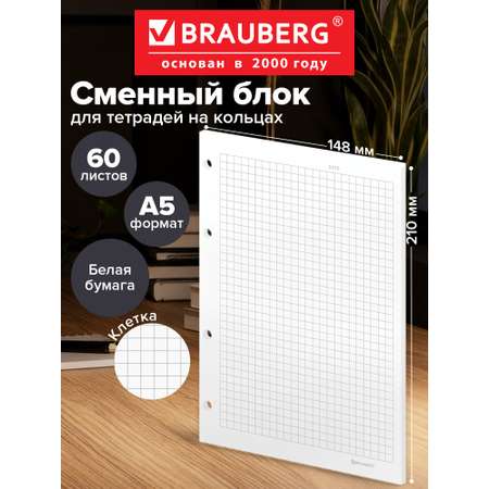 Сменный блок Brauberg клетка