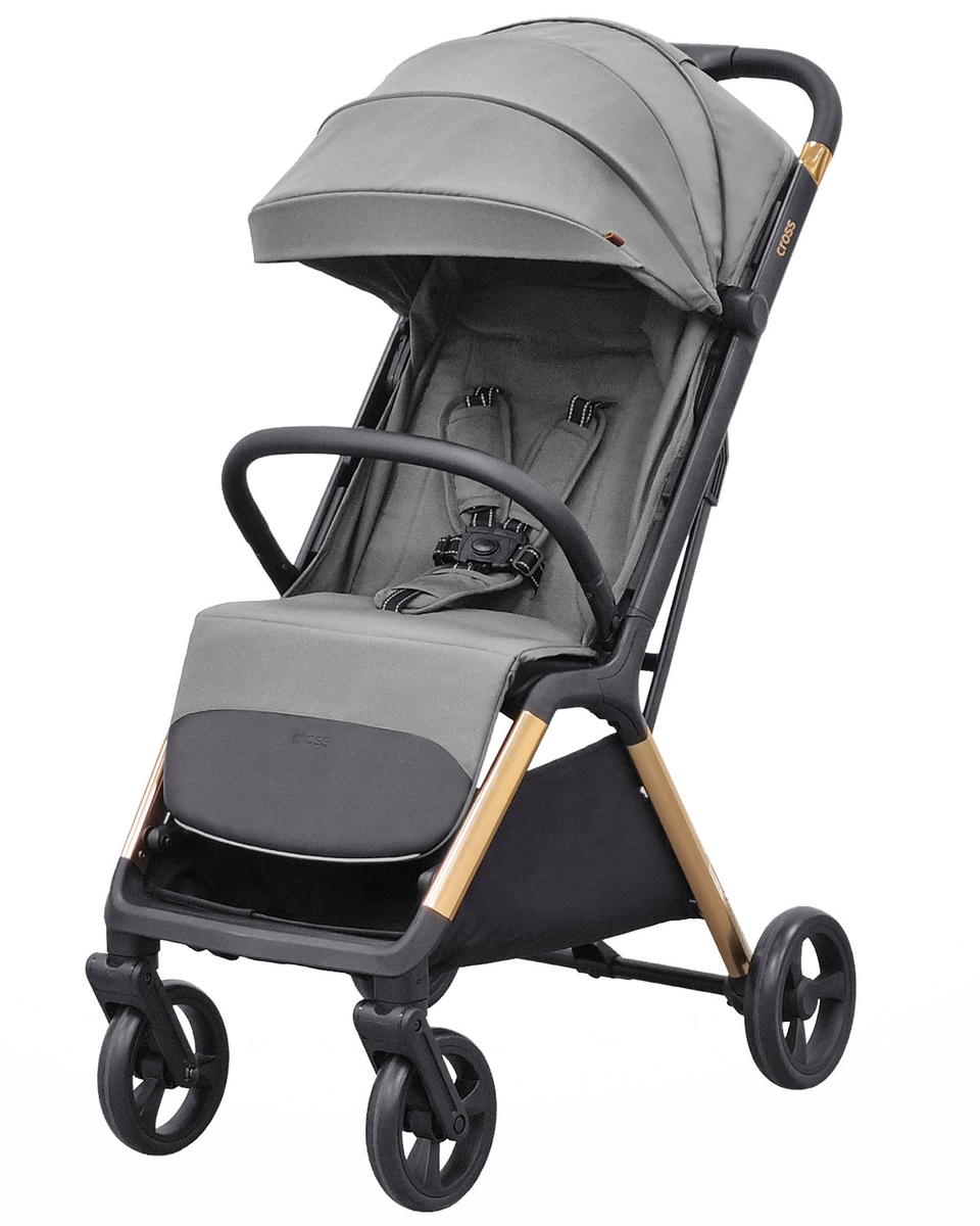 Коляска прогулочная Carrello Cross CRL-5523 серый - фото 1