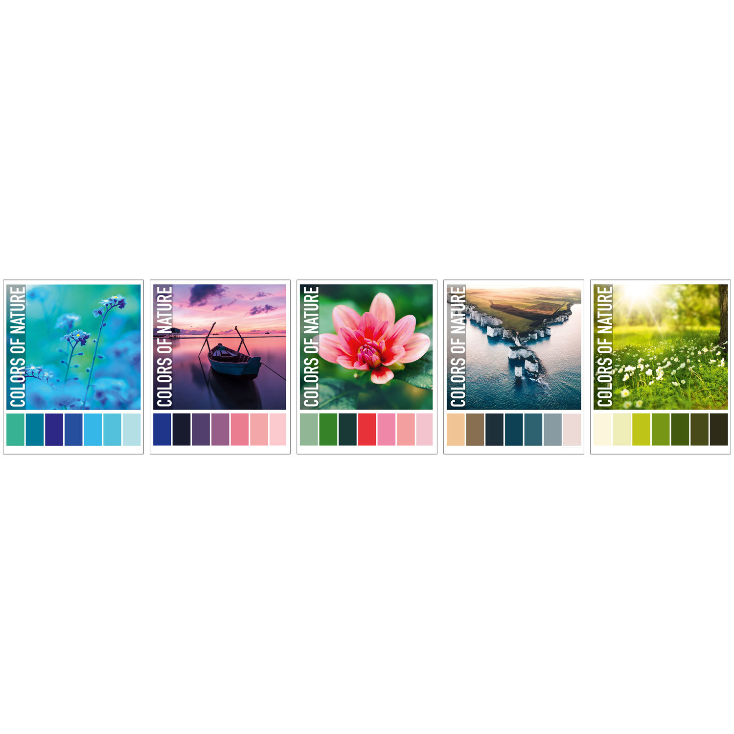 Общая тетрадь Полиграф Принт клетка 48 лист. в ассортименте - фото 1