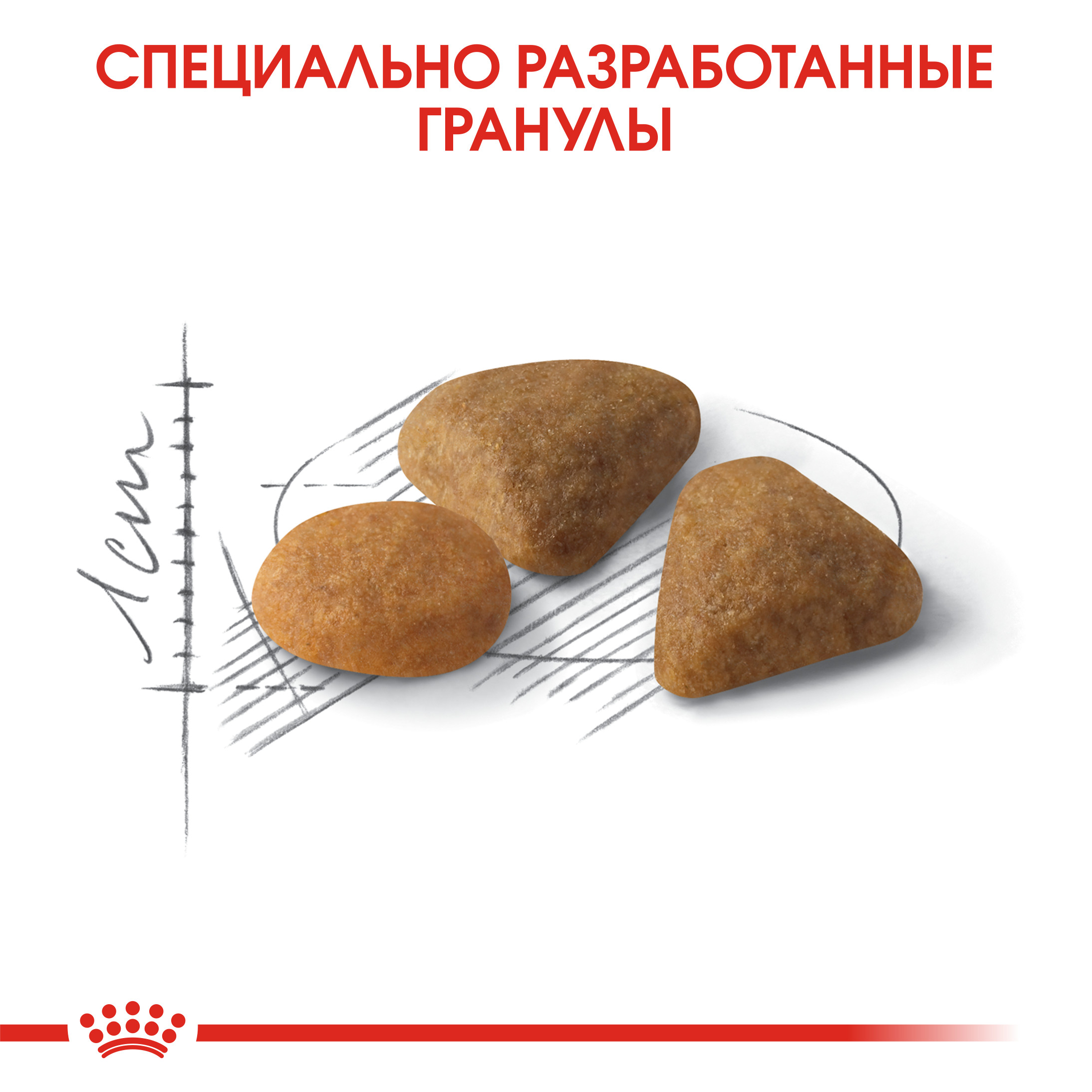 Корм сухой для кошек ROYAL CANIN Exigent Savour 10кг привередливых к вкусу продукта - фото 6