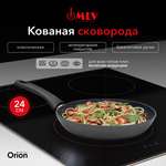 Cковорода с антипригарным покрытием Moulin Villa Orion 24 см