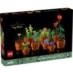 Изображение товара Конструктор LEGO Botanicals 10329 758 дет.