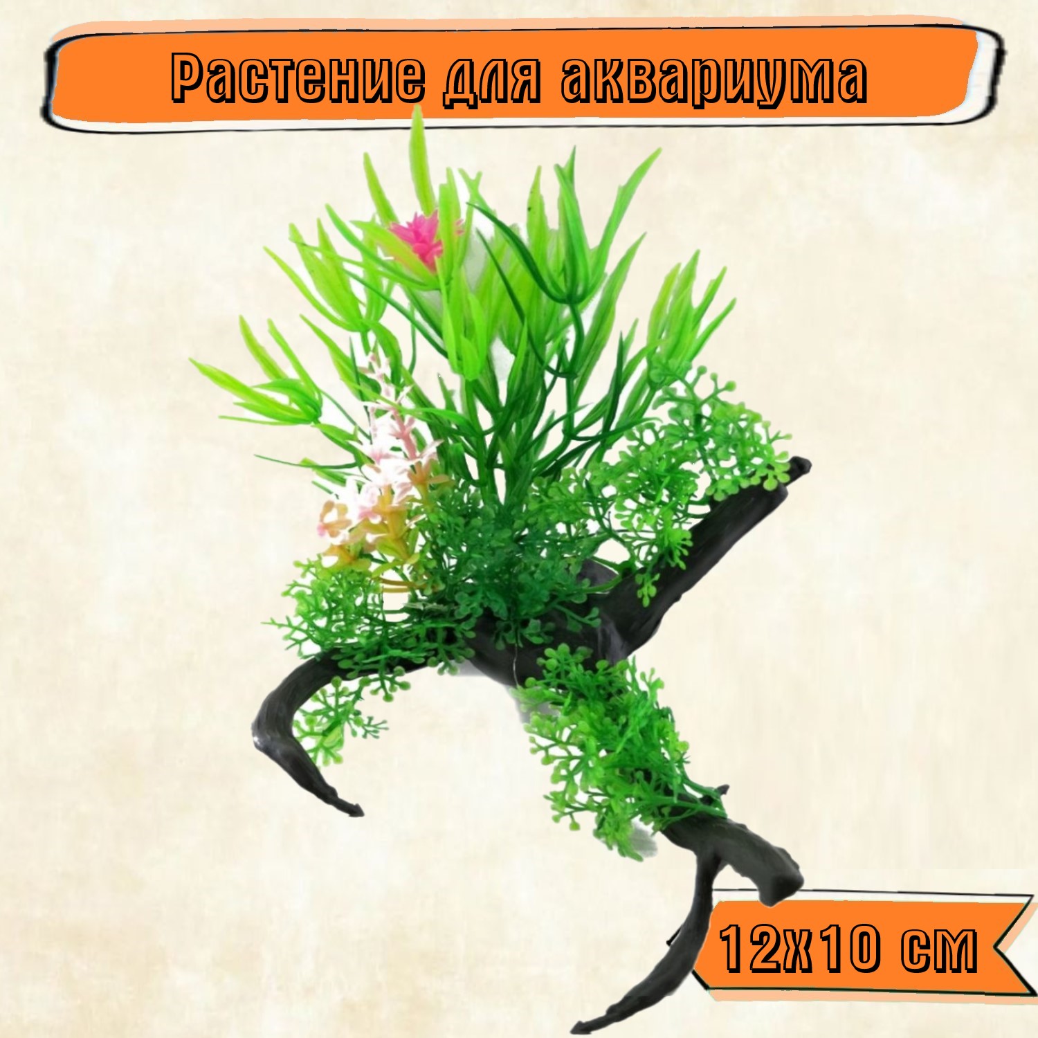 Аквариумное растение Rabizy с корягой 12х10 см - фото 1
