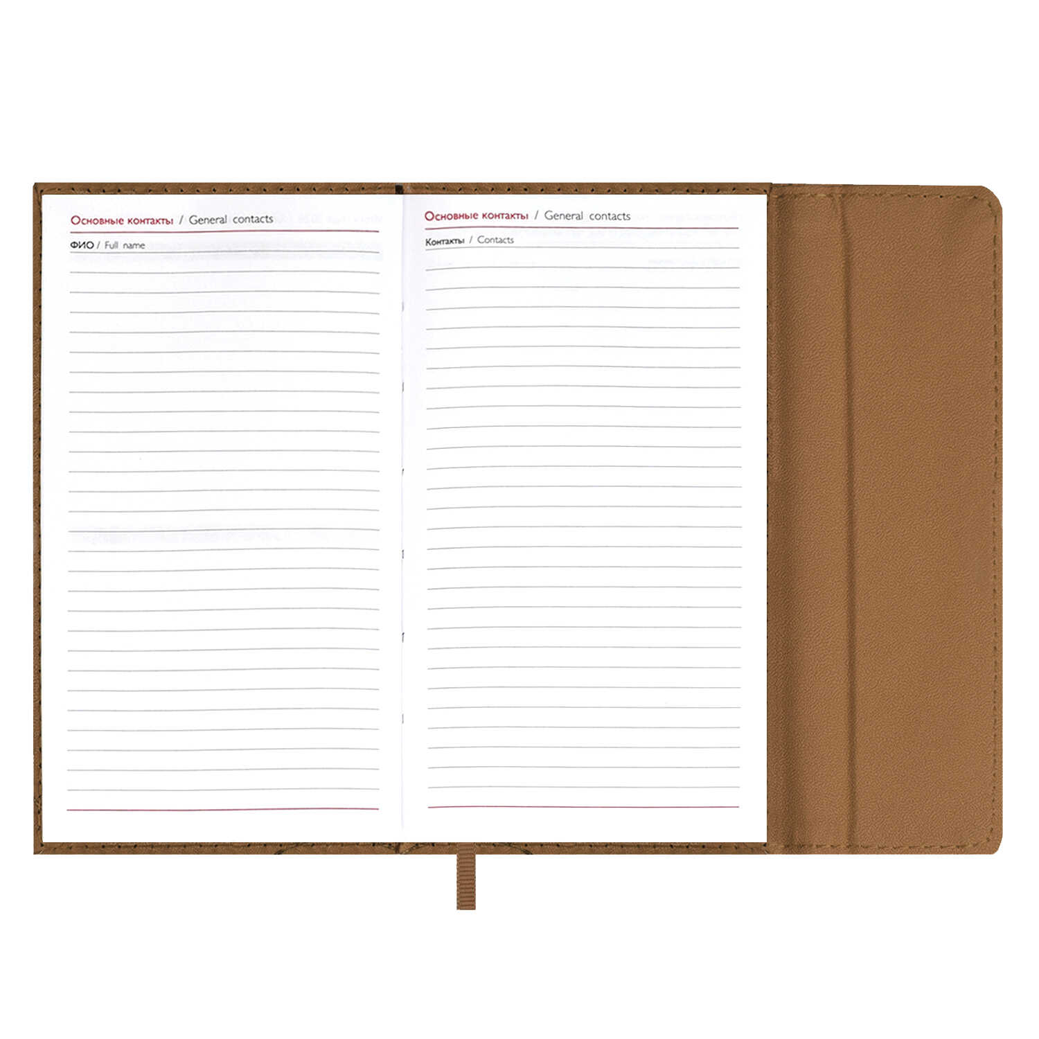 Ежедневник Феникс + ESCALADA 64 лист. - фото 21