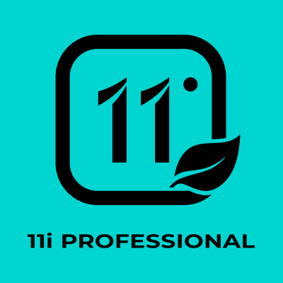 11i professional