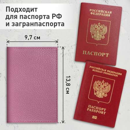 Обложка на документы Brauberg