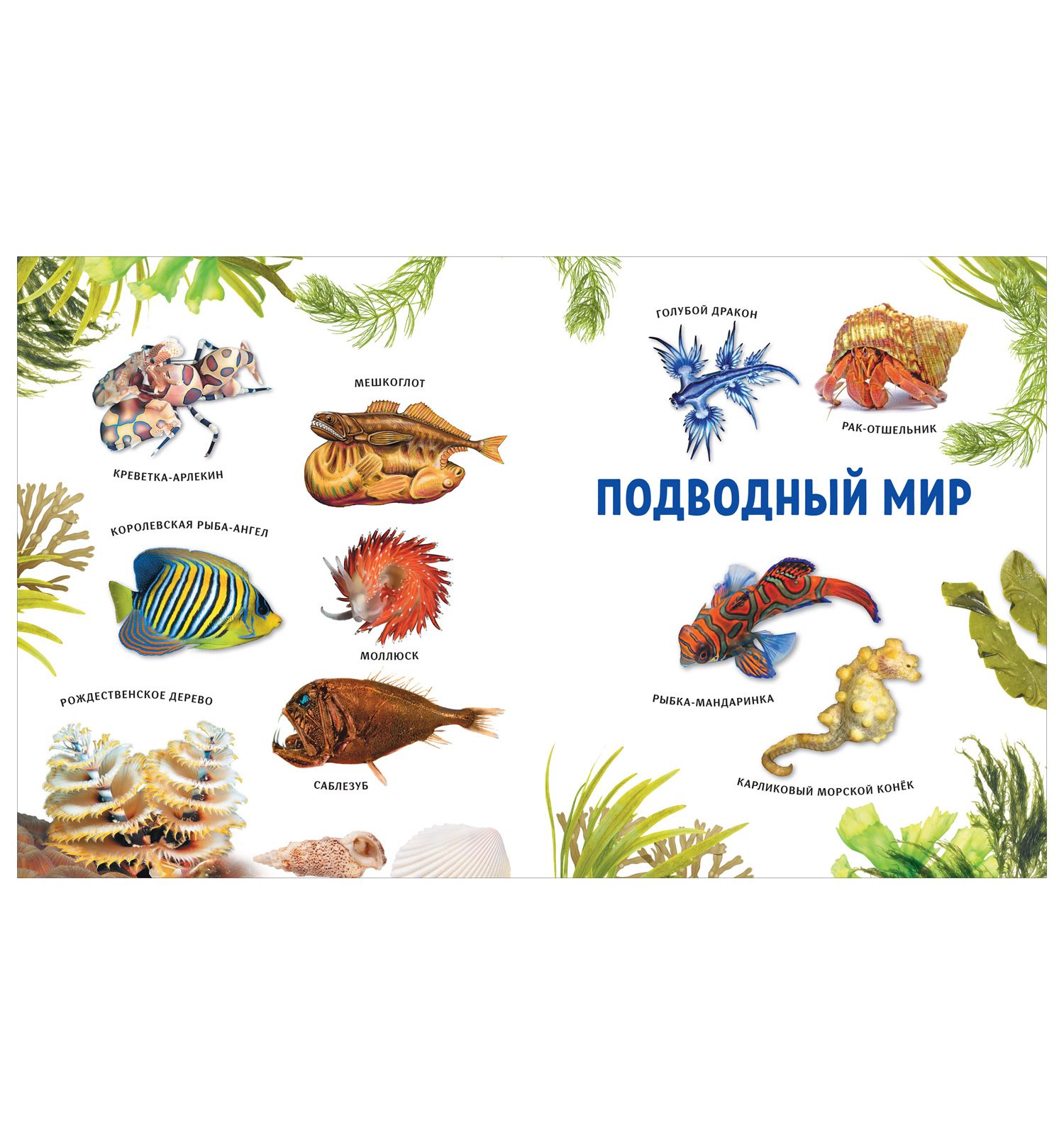 Книга Росмэн Животные Лучшая детская энциклопедия - фото 5