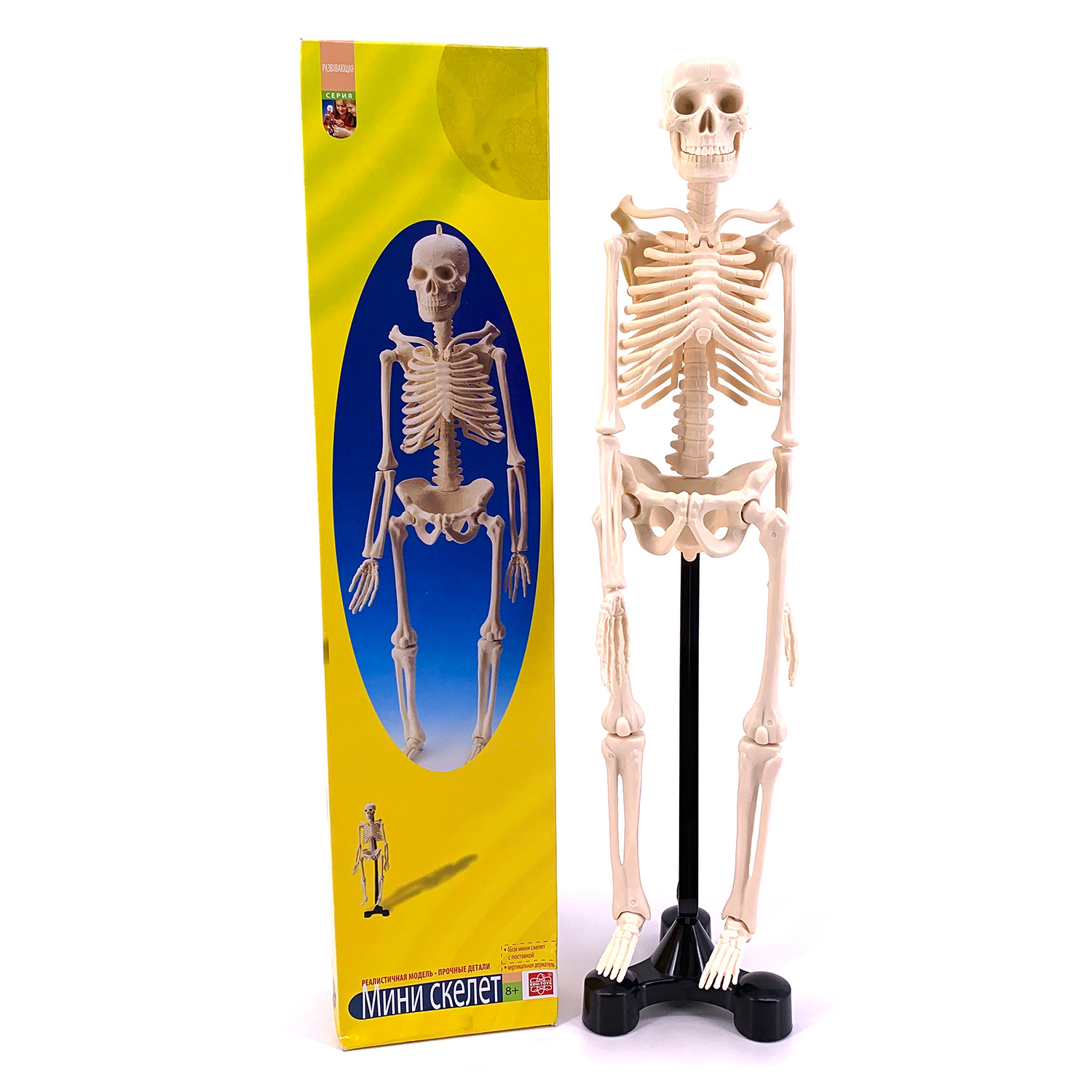 Наглядное пособие EDU-TOYS - фото 2