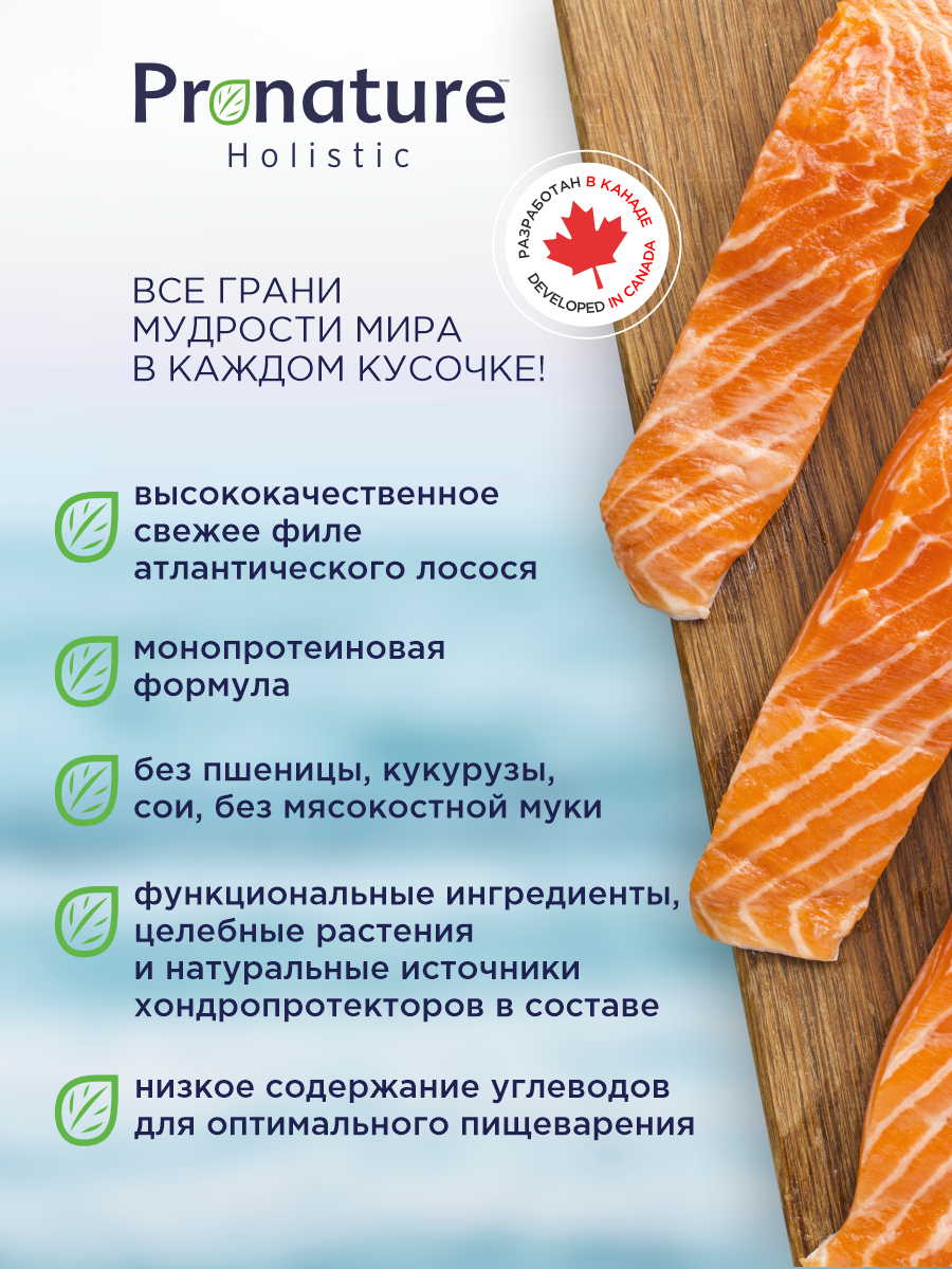 Корм для собак сухой Pronature Holistic Atlantic для кожи и шерсти на лососе с рисом 10кг - фото 2