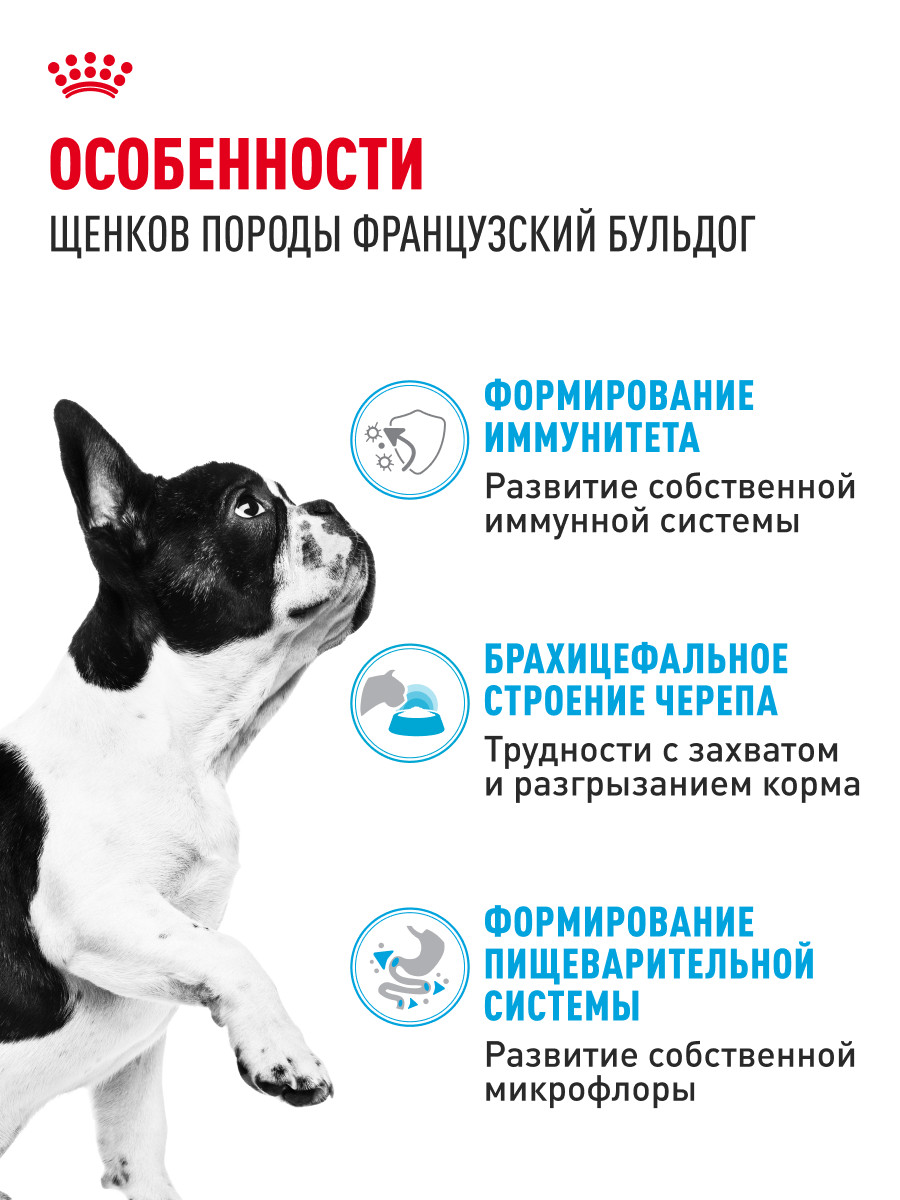 Корм для щенков ROYAL CANIN породы французский бульдог 3кг - фото 2