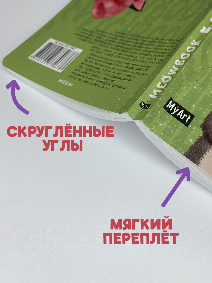 Скетчбук Проф-Пресс карманный блокнот Meowbook. А6 80 лист. 1 шт. - фото 4