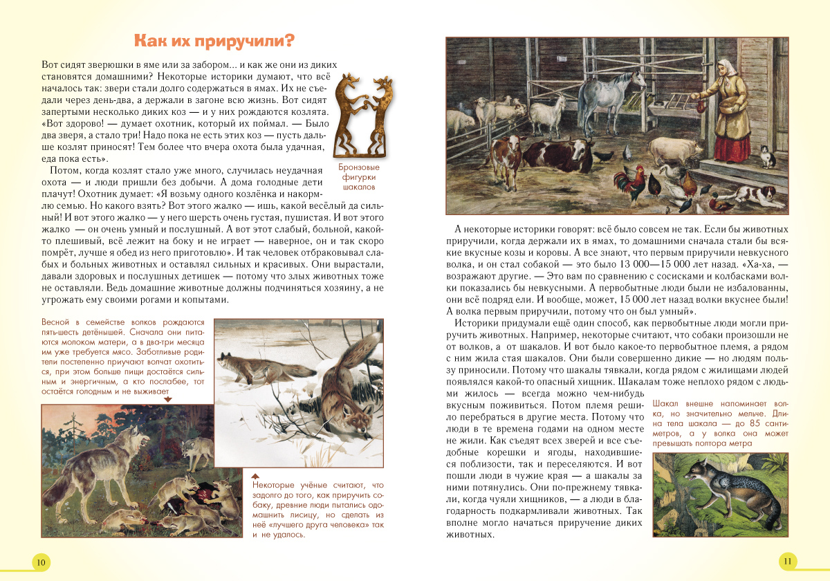 Книга Белый город Домашние животные - фото 3