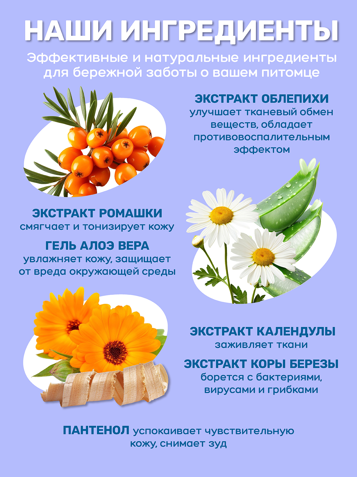 Гель-мыло для мытья лап ZOORIK "питание и увлажнение" 250 мл - фото 5