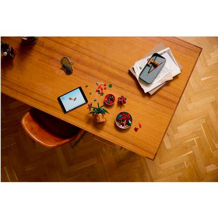 Конструктор LEGO Icons Пуансеттия блочный