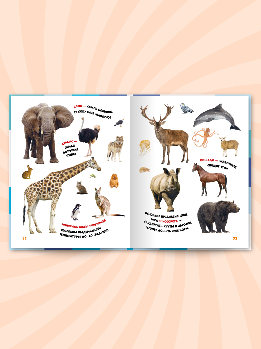Книга Проф-Пресс Главная книга малыша. Животные нашей планеты - фото 6