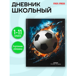 Дневник школьный Prof-Press 40 листов
