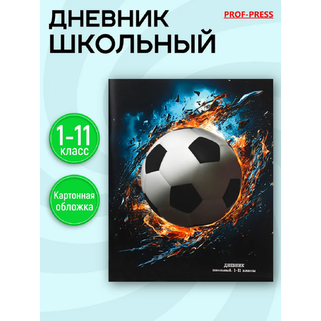 Дневник школьный Prof-Press 40 листов