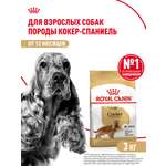 Корм для собак ROYAL CANIN Cocker породы кокер 3кг