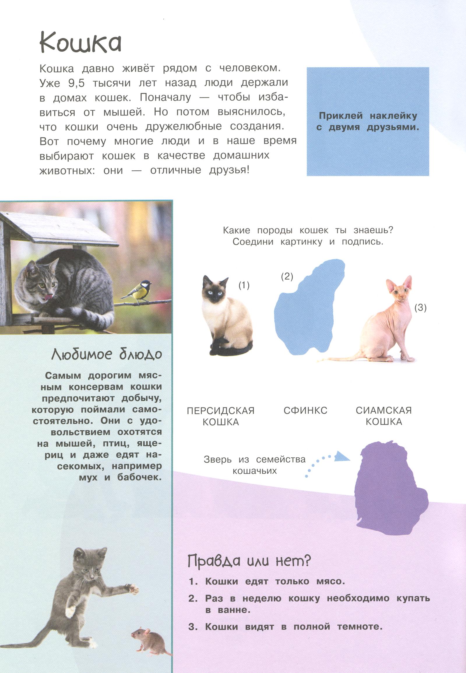 Книга Лабиринт Смотри и учись. Наши питомцы - фото 4