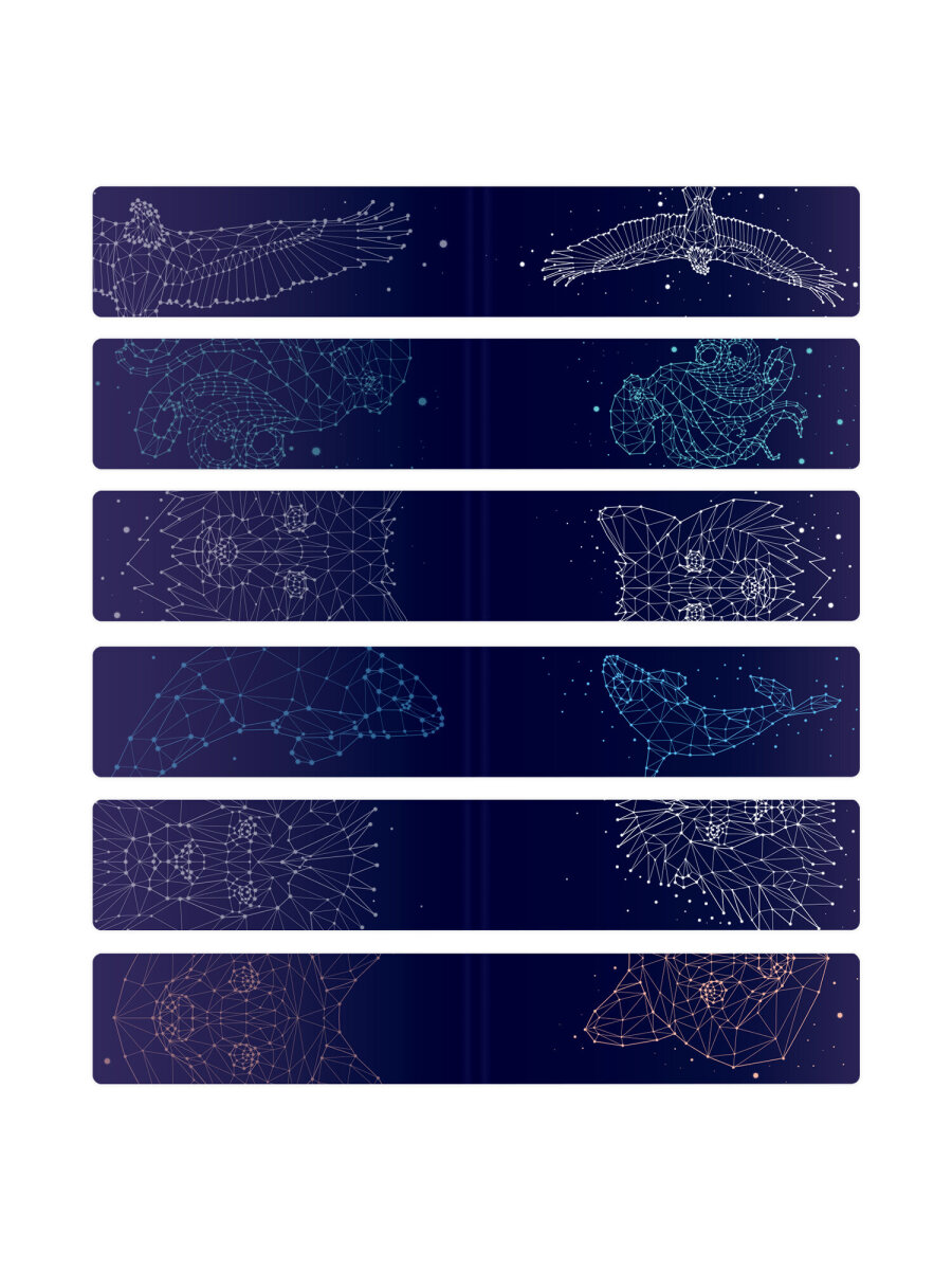 Магнитная закладка Brauberg 12 шт. - фото 11