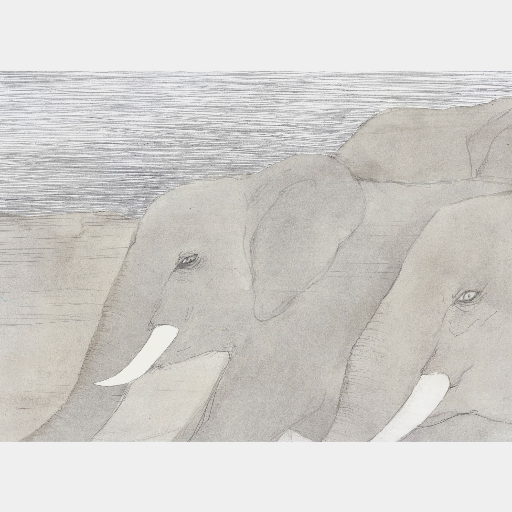 Книга Махаон Хён Ли. Прайд Ванини. - фото 9