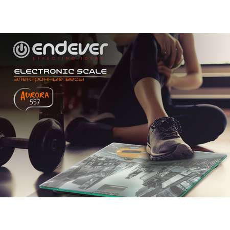 Весы ENDEVER Aurora-557