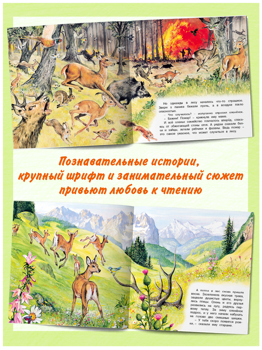 Комплект книг Фламинго Сказки для детей Рассказы о животных Приключения Лисенка Козленка Олененка Щенка - фото 4