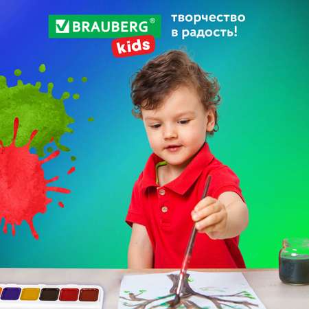 Краски акварель Brauberg 24 цв.