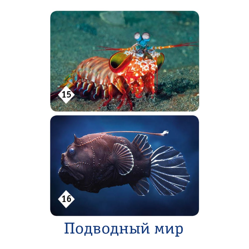 Настольная игра Нескучные игры Мемо - фото 10
